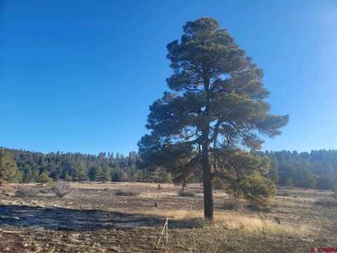 679 Trails Boulevard, Pagosa Springs, CO 81147