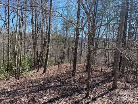 North Ridge Drive lot: 22, Marion, NC 28752