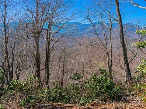 000 Big Ridge Road, Burnsville, NC 28714