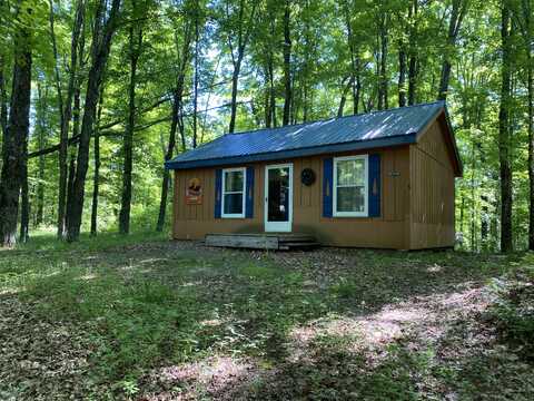 19654 Quinlan TRL, Newberry, MI 49868