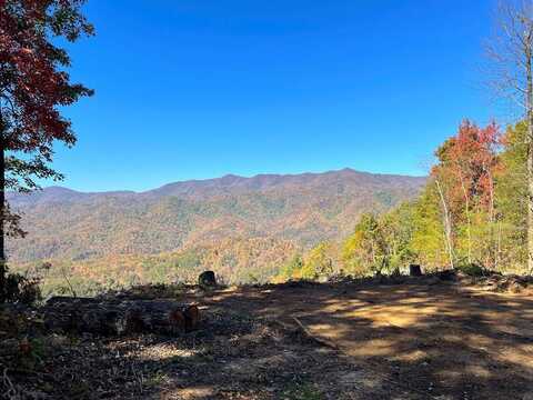 Lot 24 Cahill Dr, Andrews, NC 28901