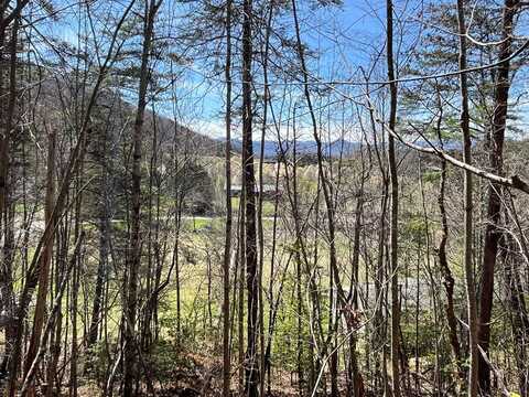 Lot 7 Firefly Rd, Whittier, NC 28789