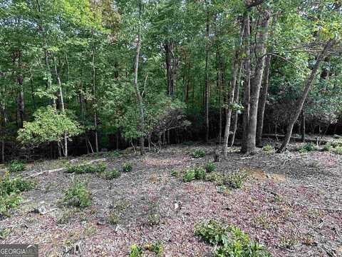 LOT 57 Asheland Cove, Young Harris, GA 30582