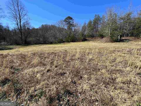 0 Lewis Drive Tract A, Cleveland, GA 30528