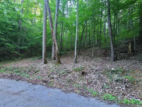 Lot 13 Cara Way, Cosby, TN 37722