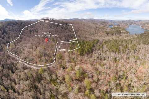 Tract A Fenley Forest Trail, Cullowhee, NC 28723