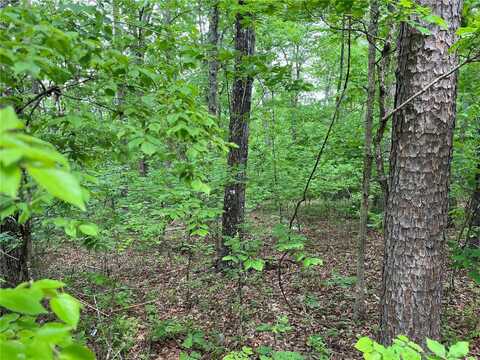 0 Deer Run Plat 12 Lot 18, Van Buren, MO 63965