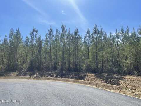 Lot 24 Freedom Ridge Lane, Brandon, MS 39047