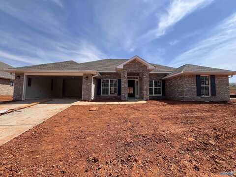 14338 Wildflower Drive, Harvest, AL 35749