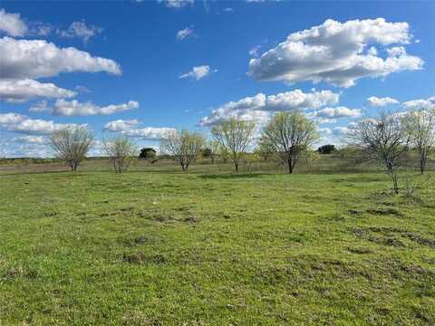 1271 New Hope Road, Palo Pinto, TX 76484