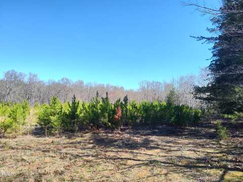 9530 Nc 57 Hwy, Rougemont, NC 27572