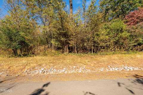 Lot 60 East Chelaque Way, Mooresburg, TN 37811