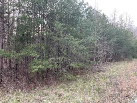 Deep Branch Lane, WILDER, TN 38589