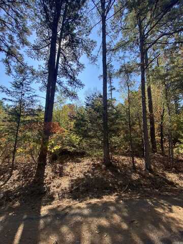 000 Twin Coves Circle, Greers Ferry, AR 72067