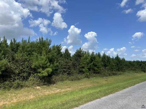 Lot 1 Whitfield Road, Elko, GA 31025