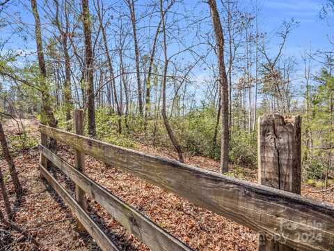 000 Forester Lane, Mill Spring, NC 28756