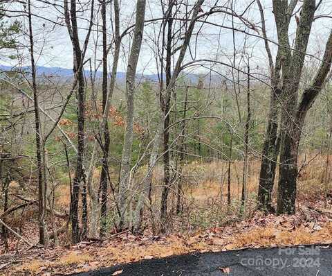 V/L Cajah Mountain Road, Hudson, NC 28638