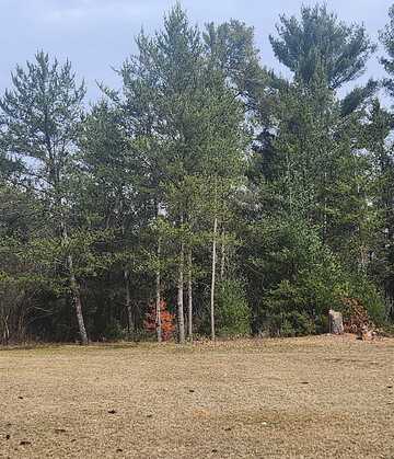 Lot 2 TWO MILE AVENUE, Wisconsin Rapids, WI 54494