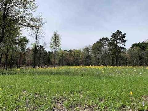 3155 Shadow Pine Lot 77 & L8, LaRue, TX 75770