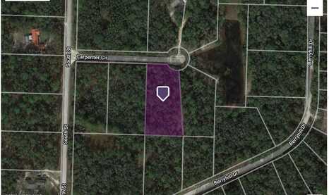 34192 CARPENTER CIRCLE, WEBSTER, FL 33597