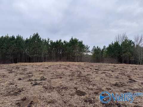 35 Acres County Road 1101, Vinemont, AL 35179