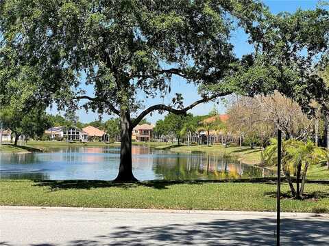 21127 SAN PABLO DRIVE, LAND O LAKES, FL 34637