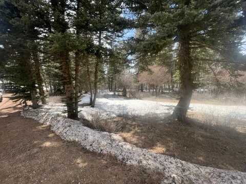 Lot 978 Panorama Place, Angel Fire, NM 87710