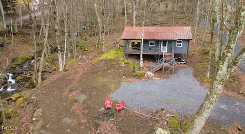 161 Rustic Log Cabin Lane, Roan Mountain, TN 37687