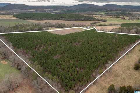 0 COUNTY ROAD 29, PIEDMONT, AL 36272