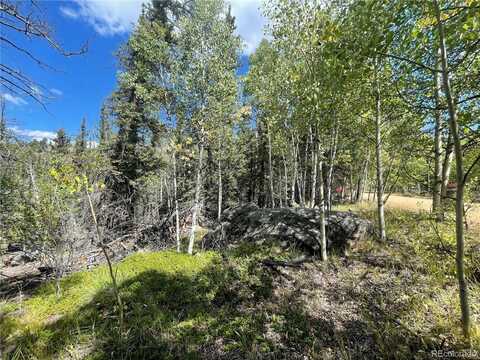 169 Ithaca Lane, Como, CO 80432