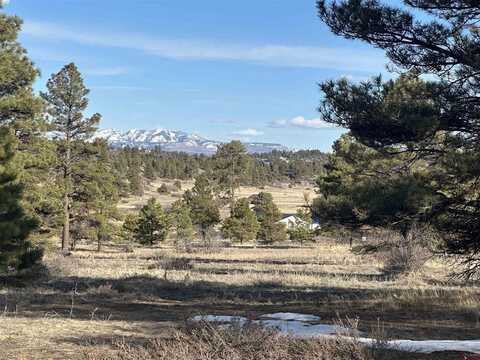 748 Trails Boulevard, Pagosa Springs, CO 81147