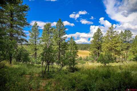 182 Saddlehorn Place, Pagosa Springs, CO 81147