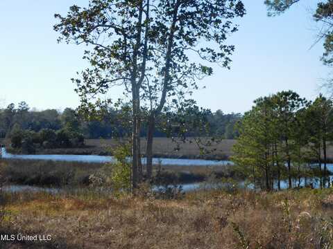 00 Sauvolle Ct Court, Ocean Springs, MS 39564