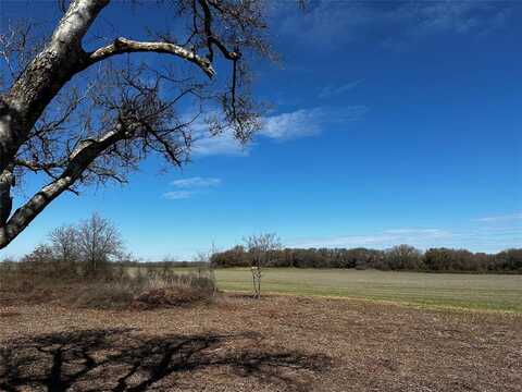 Tbd County Road 437, Rising Star, TX 76471