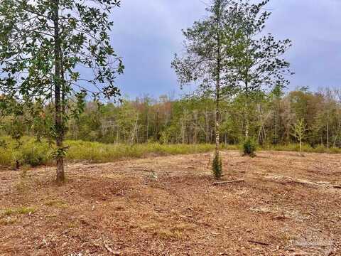 Lot 2n Cotton Lake Rd, Molino, FL 32577