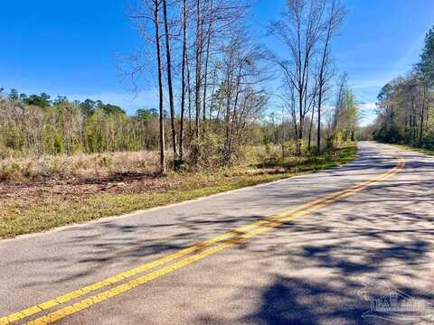 Lot 6-b Cotton Lake Rd, Molino, FL 32577