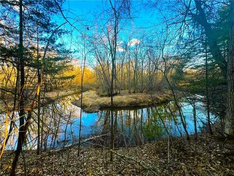 37.5 Acres on Thornapple Road, Ladysmith, WI 54848