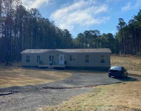 Ridge, APPLING, GA 30802