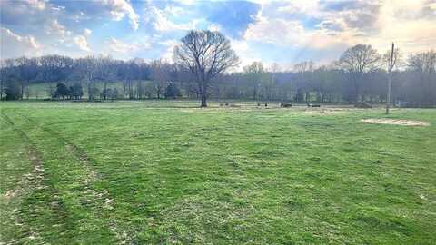 000 Farm Road 2200- 38 ACRES, Cassville, MO 65625