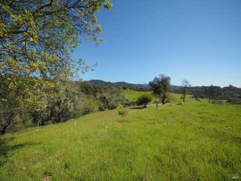 23655 Vineyard Road, Geyserville, CA 95441