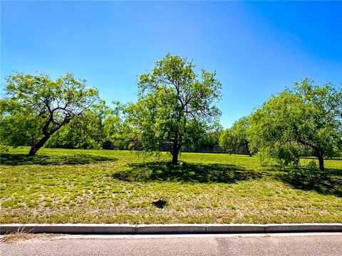 1447 Lewis Street, Kingsville, TX 78363