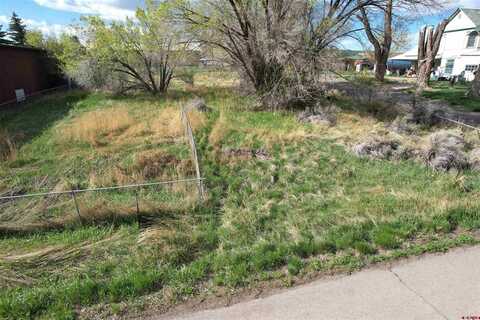 Unassigned Grand Avenue, Norwood, CO 81423
