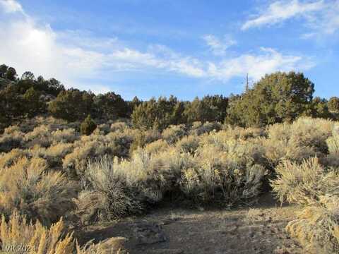 Nevada Hwy 322 (9.86 Ac), Pioche, NV 89043