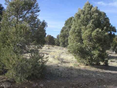 Nevada Hwy 322 (13.753 Ac), Pioche, NV 89043