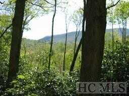 171 Trillium Ridge Road, Cullowhee, NC 28723