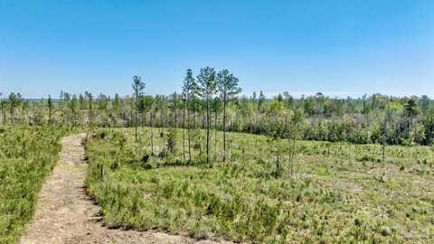 Lot 3n Cotton Lake Rd, Molino, FL 32577