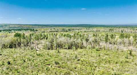 Lot 7n Cotton Lake Rd, Molino, FL 32577