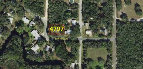 4797 E Cork Tree Lane, Hernando, FL 34442