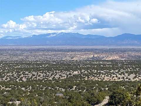 40 Wild Mountain, Cerrillos, NM 87010