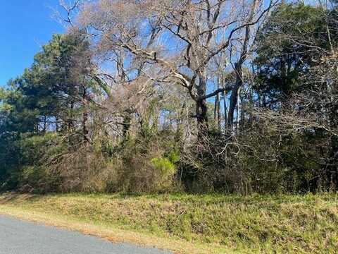 Lot 5 HIDEAWAY COVE RD, JAMESVILLE, VA 23398